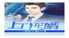 主人公叫叶辰小说萧初然上门龙 有部小说主人公叫叶辰